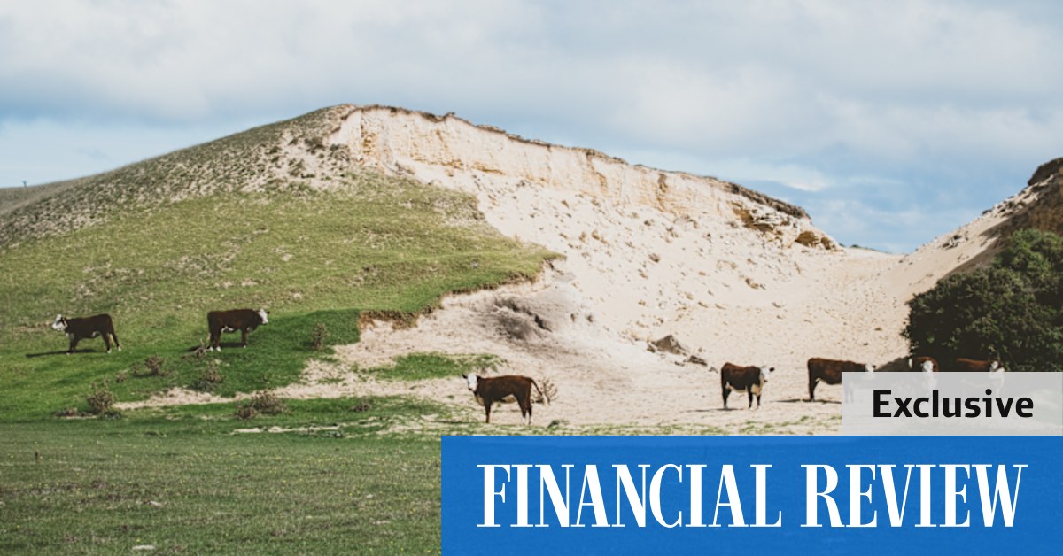 Billionaire Peter Gunn's PGA Group offloads King Island cattle farm "Reedy" to Crouch family - Vimarsana News