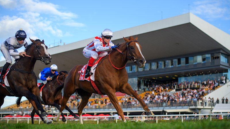 State launches horse, greyhound racing review