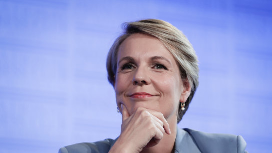 Deputy Labor leadet Tanya Plibersek