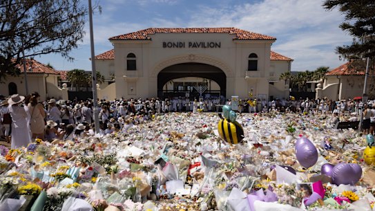 An inquiry into banning hate slogans after the Bondi attack will not hold public hearings. 