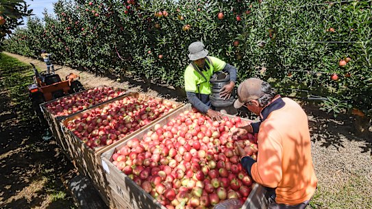 Legitimate operators are facing a worker shortage.