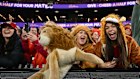 Melbourne was inundated with British and Irish rugby fans over the weekend.