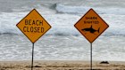 Beach closure signs at Manly Beach on Tuesday.
