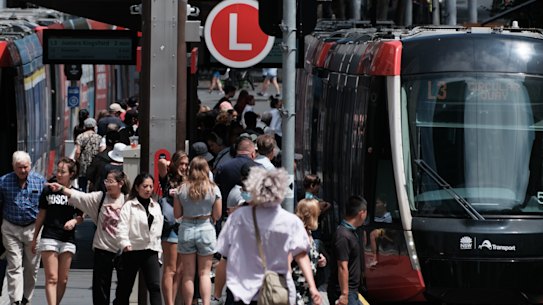 Patronage on the light rail line has soared over the last year.