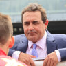 Michael Freedman has mixed feelings about Rosehill favourites