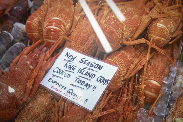 Southern crayfish ready to go at Aptus Seafoods. 