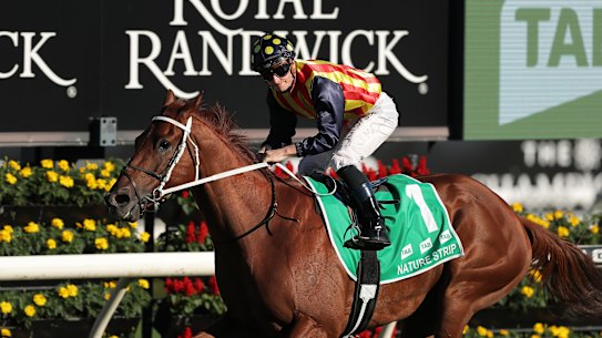 James McDonald sits up as Nature Strip wins the TJ Smith Stakes at Randwick in April.