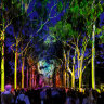 As Lightscape closes, state announces next Kings Park tourist spectacle