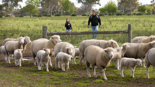 Sheep farmer Ian Kyle with granddaughter Raiven in Bairnsdale.