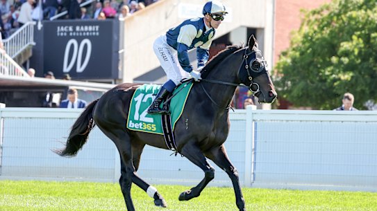 Interpretation with Ben Melham at the Geelong Cup.