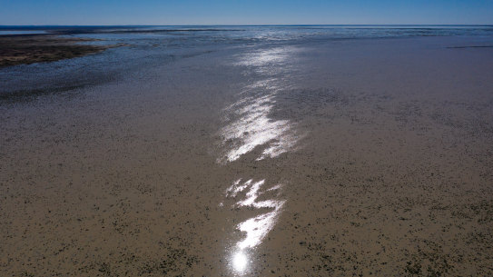 The NSW government has made the state's largest-ever purchase of land for a national park to preserve an intermittent wetlands region, buying the Narriearra station of more than 150,000 hectares in size.