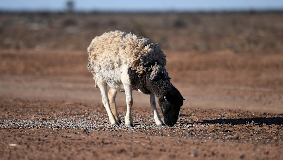 Scott Morrison has made responding to the drought a top priority