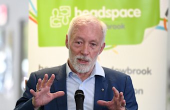 Leading psychiatric professor Patrick McGorry said mental health issues were widespread, and welcomed the government's focus on the issue.