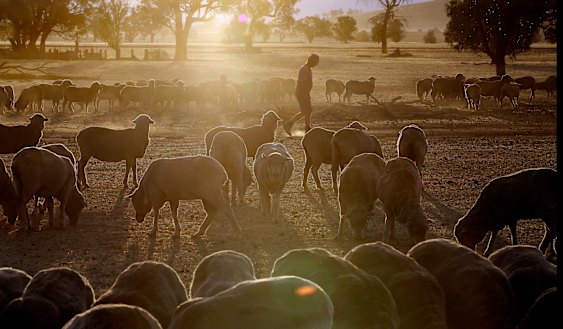 Improving the condition of the natural assets on their properties can help farmers prepare for drought.