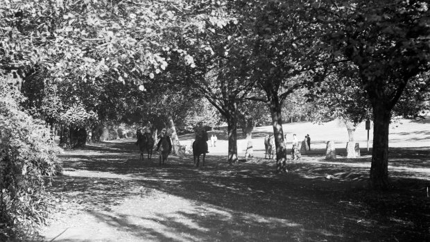 The Tan track, Alexandra Avenue, Melbourne in the 1950s.
