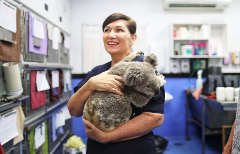 Environment Minister Leeanne Enoch said the Queensland Government will examine a business case for a new wildlife hospital for the RSPCA. It has extended funding for 2020-21.