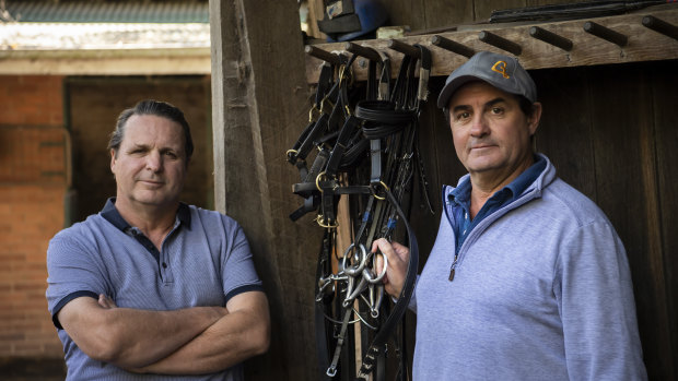 Richard and Michael Freedman at their stables in Randwick. 
