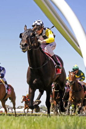 2008 Melbourne Cup winner Viewed is ridden by Blake Shinn. 