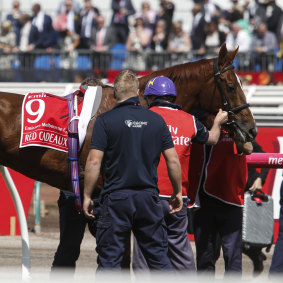 Red Cadeaux at the 2015 Emirates Melbourne Cup. 