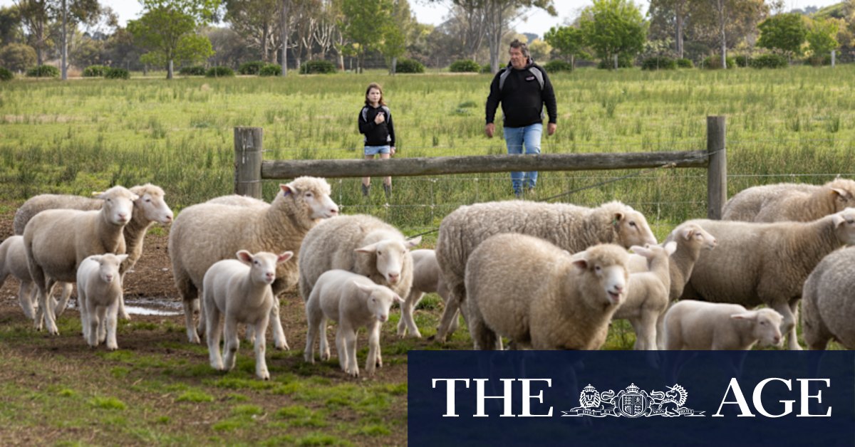 Melbourne Royal Show: Why farmers are abandoning the event - Vimarsana News
