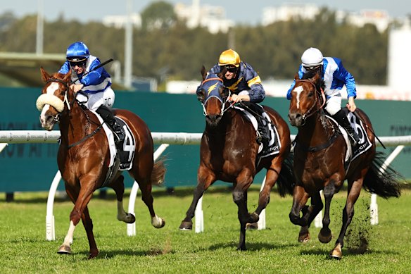 Diddle Dumpling salutes at Rosehill earlier this month.