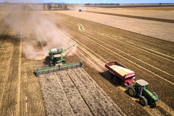 A farmer operates a combine harvester as a tractor hauls a grain cart during a harvest at a farm near Gunnedah, New South Wales.