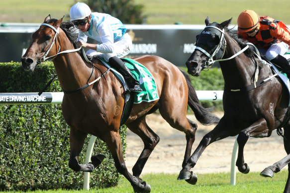 Jockey Nick Heywood should be in the thick of the action at Dubbo.