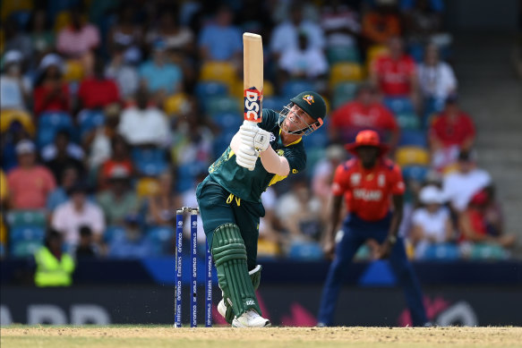 David Warner is Australia’s leading run-scorer in the Twenty20 World Cup 