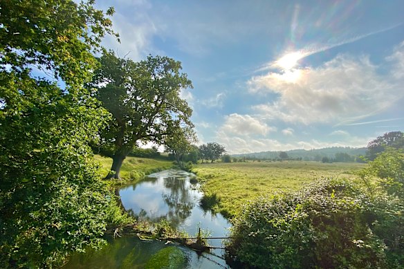 The water meadows can be easily accessed from the town centre near the Guildhall.