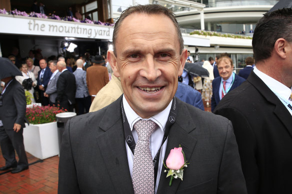 Champion trainer Chris Waller will be a part of Racing Victoria's broader review into horse deaths at Werribee and in the Melbourne Cup.