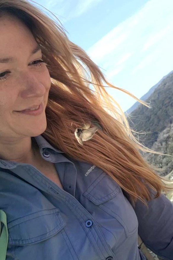 Zoos Victoria senior conservation biologist Dr Marissa Parrott in the field at Mt Kosciuszko with one of her  beloved bogong moths in the foreground.