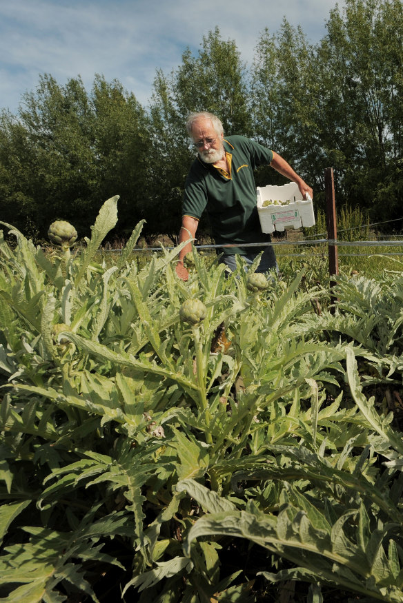 Picture of Dave Pentony in 2008 who bought the 60 acre property near Hall more than 40 years ago with then wife Margaret.