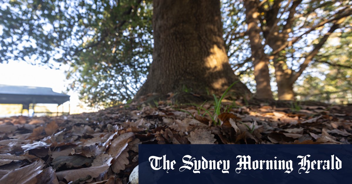 A winding valley ridge, a dead-end road. Where an unlikely murder weapon was found