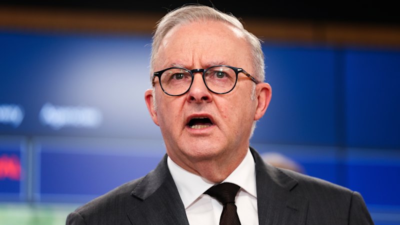 ‘People are starving’: Albanese attacks Israel over ‘outrageous’ Gaza food restrictions