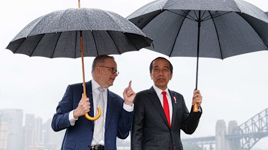 Prime Minister Anthony Albanese and Indonesian President Joko Widodo.