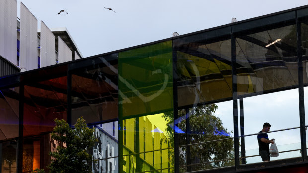 Marrickville’s dead birds a cautionary tale about our love of shiny glass