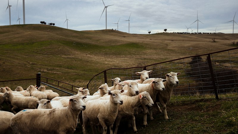 Renewables companies look to coal-style royalty scheme