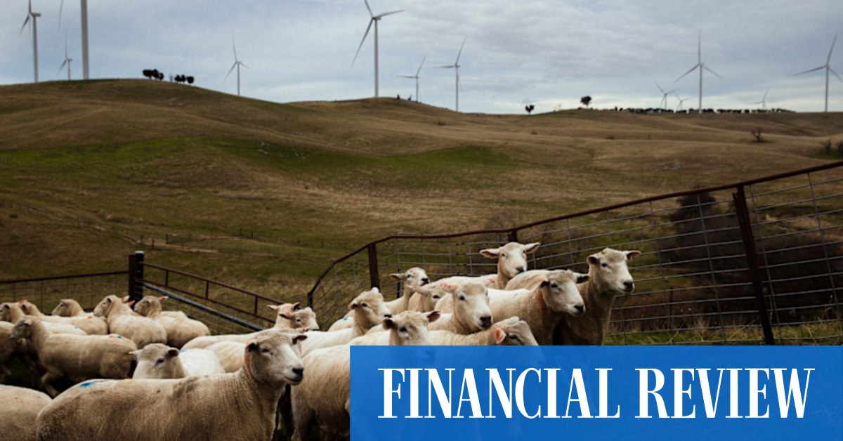 Renewable energy investment plans surge, ACIF forecasts show - Vimarsana News