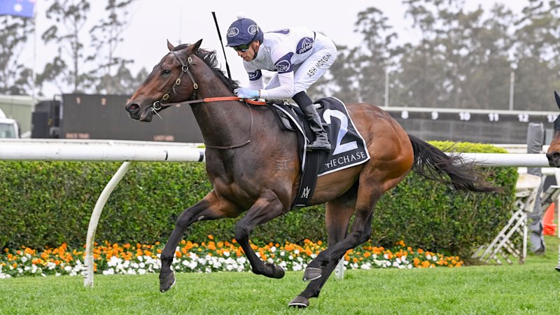 Istolea Merc revved up to prove bookies wrong in comeback ru