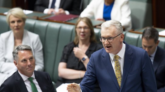 Immigration Minister Tony Burke during question time in November.