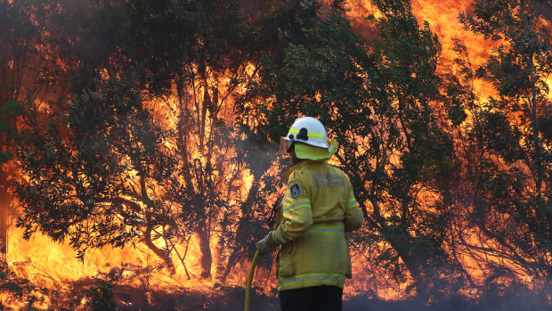 Fires burnt for weeks in the regions around Grafton.