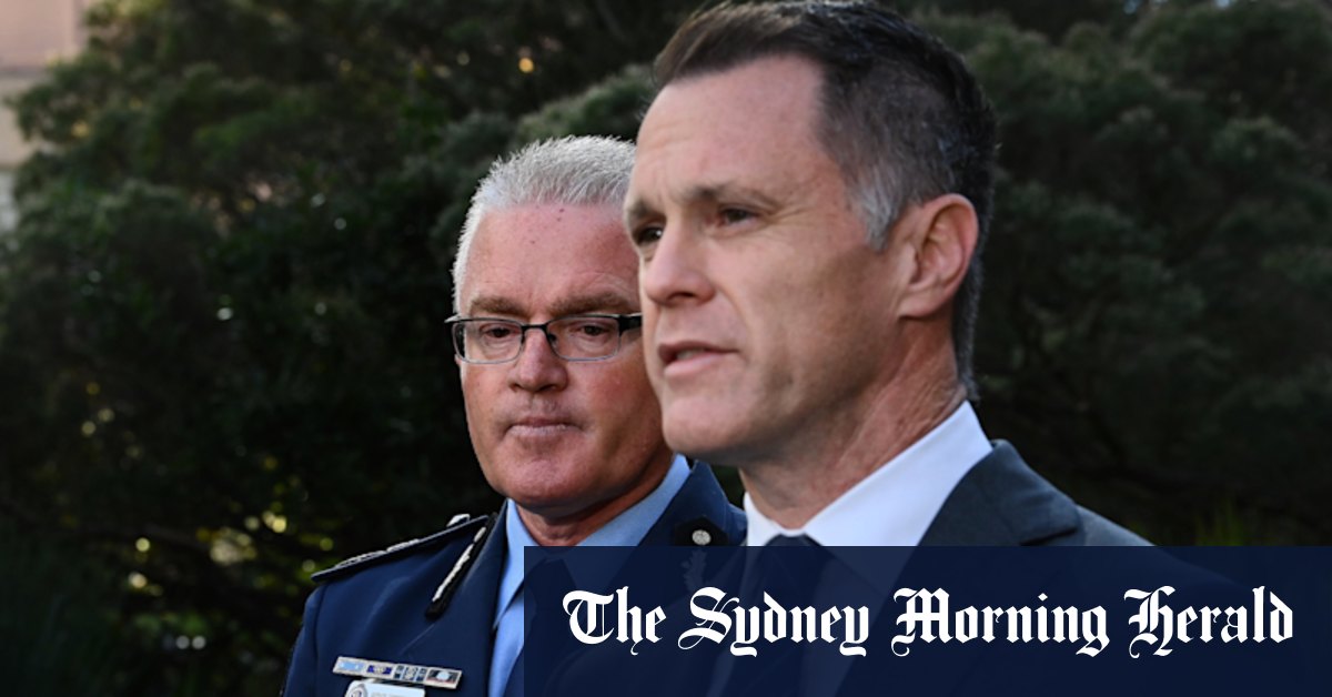 The appointment of Mal Lanyon as police commissioner shows the boys’ club is alive and well in Sydney