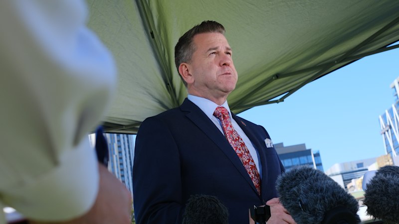 Bleijie rejects questions about meeting links to Gina Rinehart’s political dealings