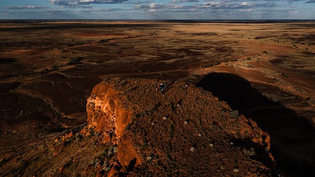 Looking out to grasslands in far west Queensland – the feeding grounds of a night parrot population.