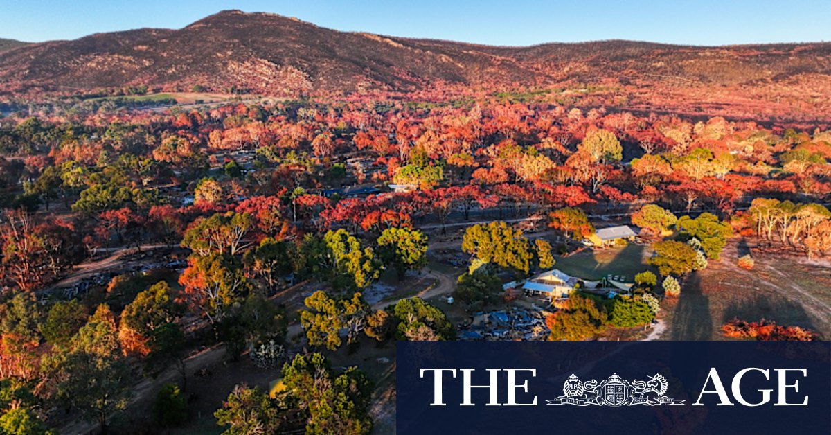 The Grampians town of Pomonal is recovering three months after a devastating bushfire - Vimarsana News