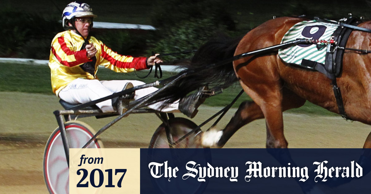 More charges under Queensland harness racing probe