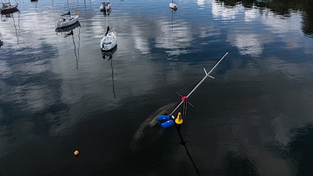 Just one of the many derelict boats that litter Sydney Harbour.