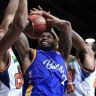 Taipans overpower Bullets in Queensland NBL derby