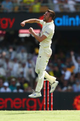 Mark Wood celebrates a wicket at last. 