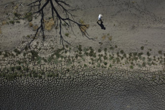 A dry dam at Rebecca and Dan Reardon's property Lairdoo, near Moree.